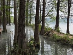 -东湖落雁景区