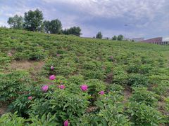 -长春世界雕塑园冰雪艺术天地