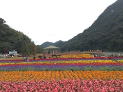 -广州市石门国家森林公园