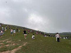 -大姆山草场