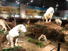 -陕西自然博物馆