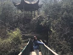 -午潮山国家森林公园