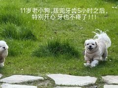 -狗舍宠物医院(四季商业广场店)