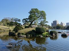 -水前寺成趣园