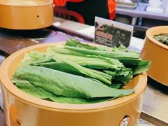 -龍歌自助小火锅(李沧丽达店)