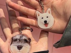 -和它·交个朋友·狗咖猫咖(爱琴海店)