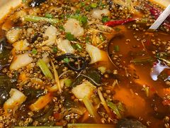 自贡椒麻鱼-金鼎轩(亚运村店)