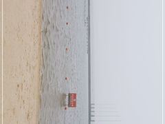 -碧海金沙