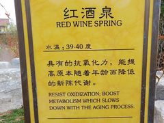 -大连金石滩绿发温泉假日酒店