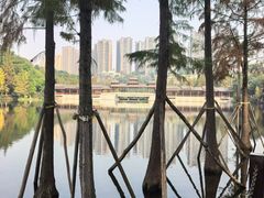 -重庆彩云湖湿地公园