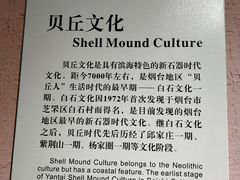 -烟台市博物馆