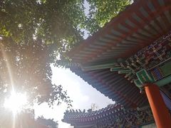 -珠海圆明新园
