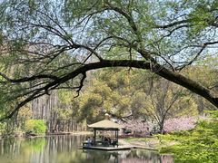 -上海共青森林公园