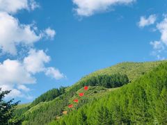 -塞罕坝国家级自然保护区