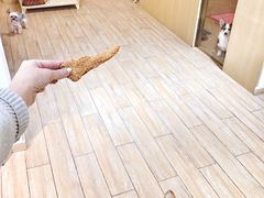 狗狗寄养房间-Double Rui宠物酒店