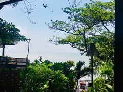 -卷心菜和避孕套餐厅(Pattaya)