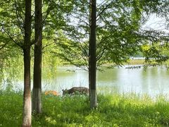 -苏州太湖国家湿地公园