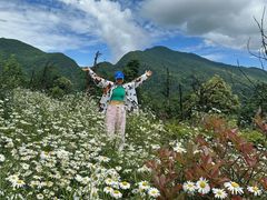 -瓦屋山景区