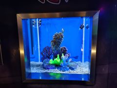 -秦皇岛新澳海底世界