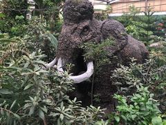 -呀路古热带植物园-恐龙馆