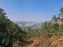 -滴水岩森林公园