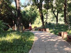 -成都市活水公园