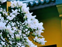-杭州上天竺法喜讲寺