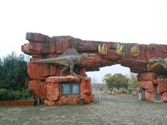 -上海海湾国家森林公园