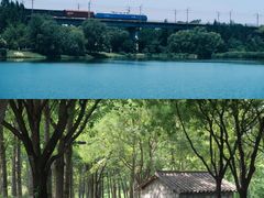 -西安浐灞国家湿地公园