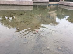 -鱼凫国都大酒店温泉