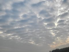 -深圳湾公园(南山区)