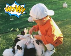 -萌宠亲子动物乐园(槐房万达店)