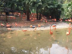 -东部华侨城