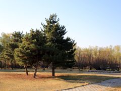 -吉林大学(前卫南区)