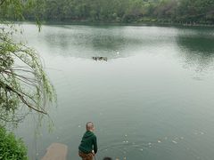 -杭州半山国家森林公园