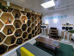 -北京天域联达耳机店(财智国际大厦店)