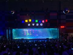 -泉城欧乐堡海洋极地世界