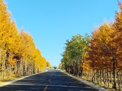 -草原天路(张北县)