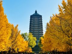 -玲珑塔公园