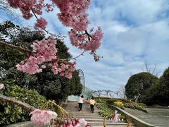 -南山植物园