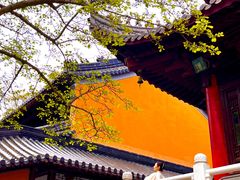 -灵谷景区