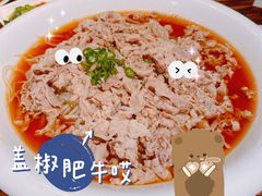 盖椒肥牛-金鼎轩(亚运村店)