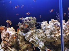 -沈阳海洋探索中心