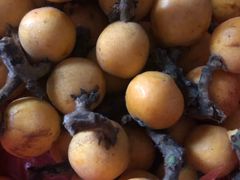 -塘栖枇杷特色园区