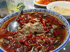 -老绍兴养和饭店(向阳不夜城店)