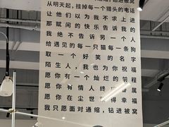 -多抓鱼循环商店(虹桥天地店)