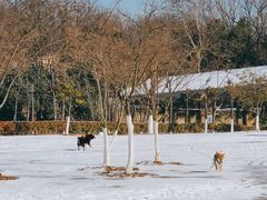 -钟山体育运动公园
