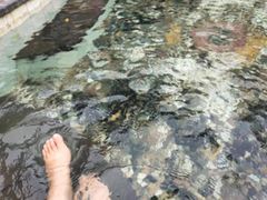 -夏津德百度假村温泉