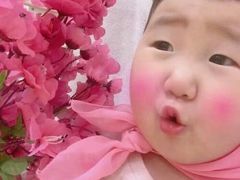 -麦当劳(花园城中心店)
