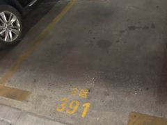 -世博源停车库